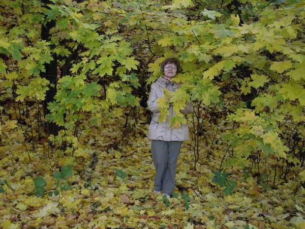 Елена Никулина