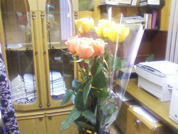 Гульсина Идрисова