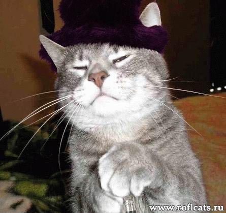 Александр Похил