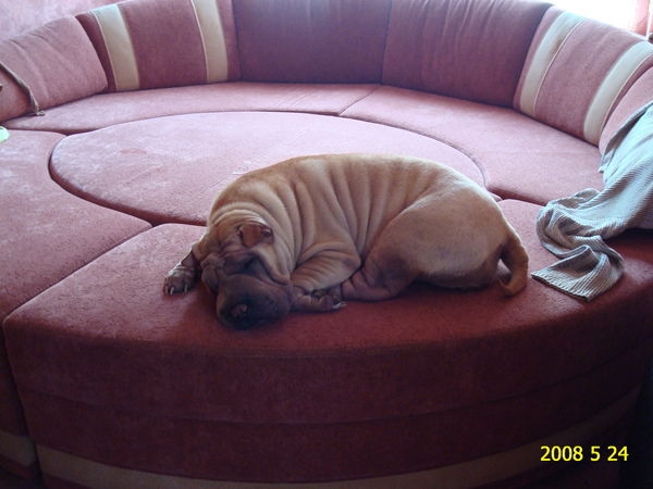 Богатищев Игорь