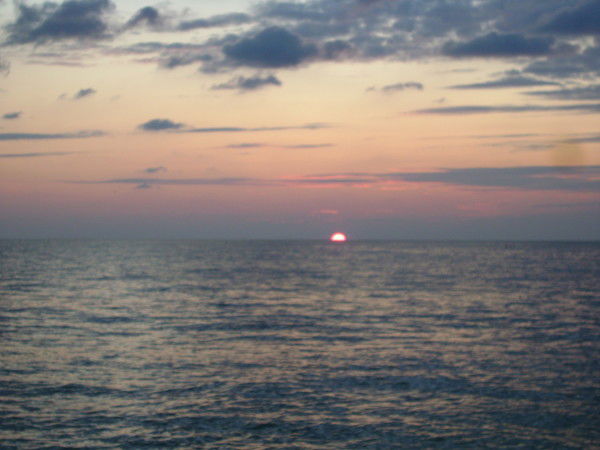 Наталья Сергеева