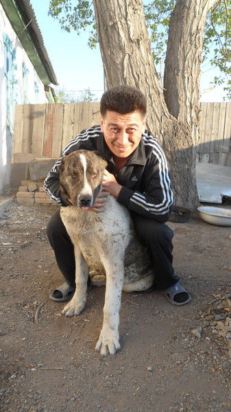 Аргын Амзин