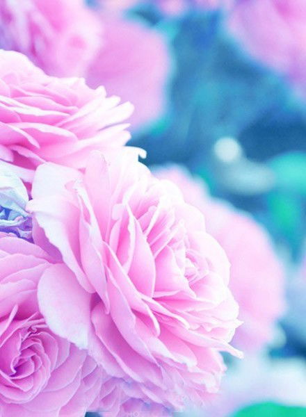 Айгерим Еликбай