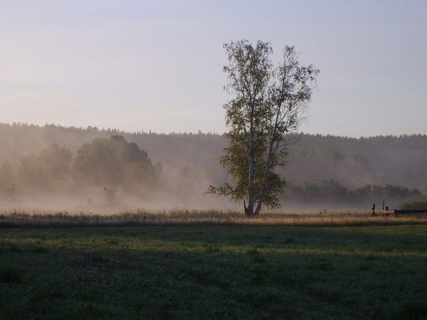 Дмитрий Хохлов