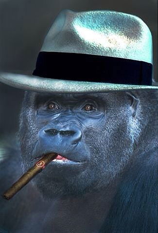 Владимир Князев