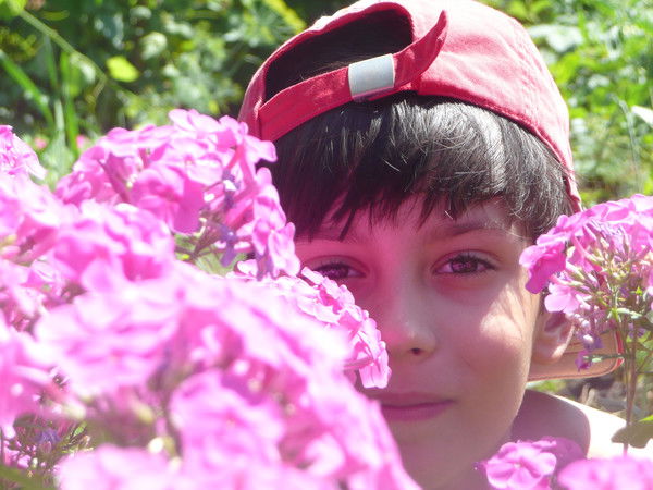 Елена Коцарева