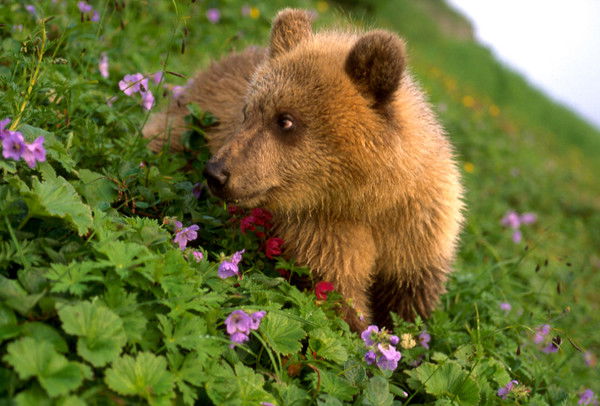 Скачко Марина