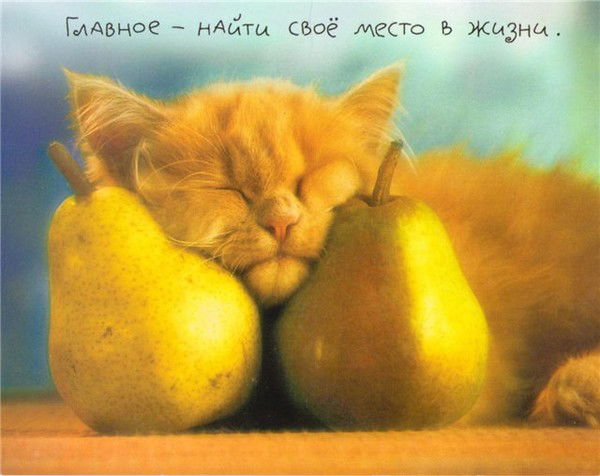 Марина Савостьянова