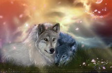 Карина ********