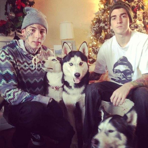 Карина Белосветова