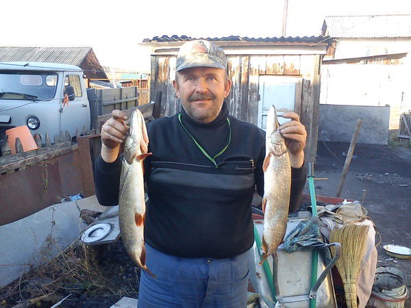 Вячеслав Арапов