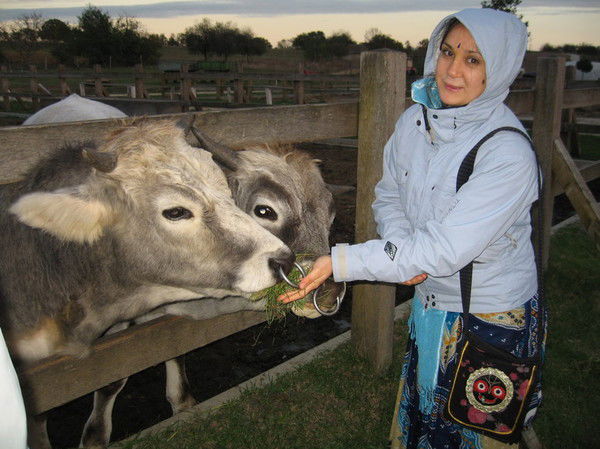 Камала Гопи К.н.