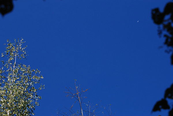 Павел Гуров