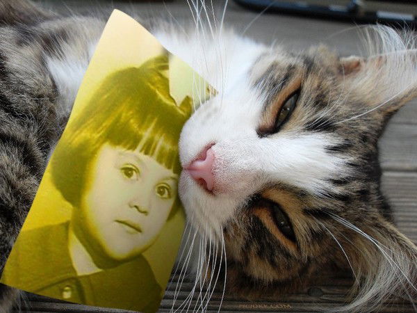 Натали Красотка