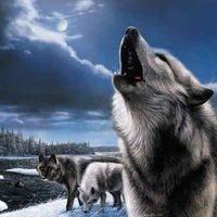 Игорь Теряев