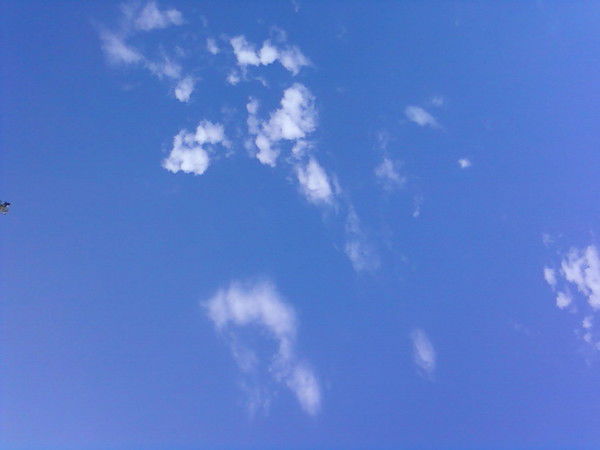 Вячеслав Матвеев