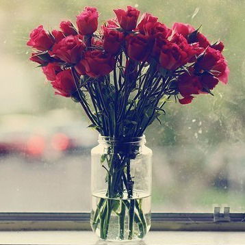 Анастасия Хилкова