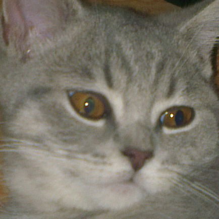 Александр Сошкин