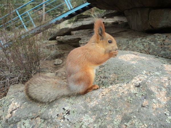 Татьяна Мандрыка