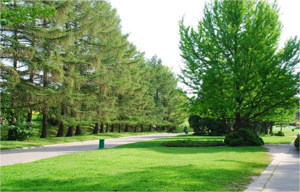 ********* **********