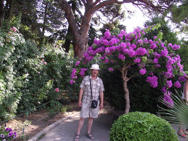 Вячеслав Гладков