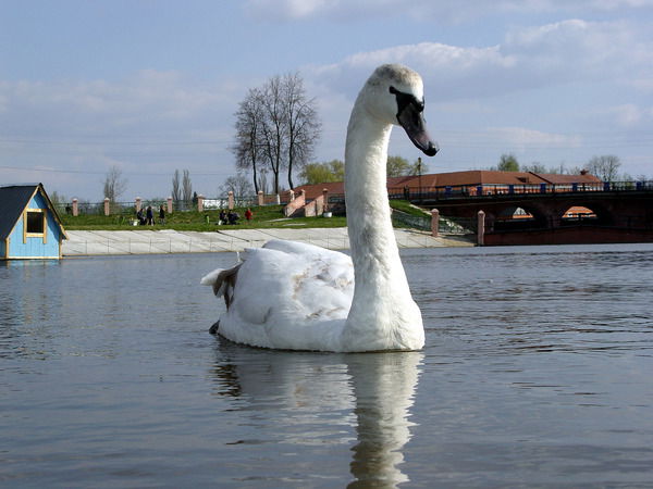 Александр Возняк