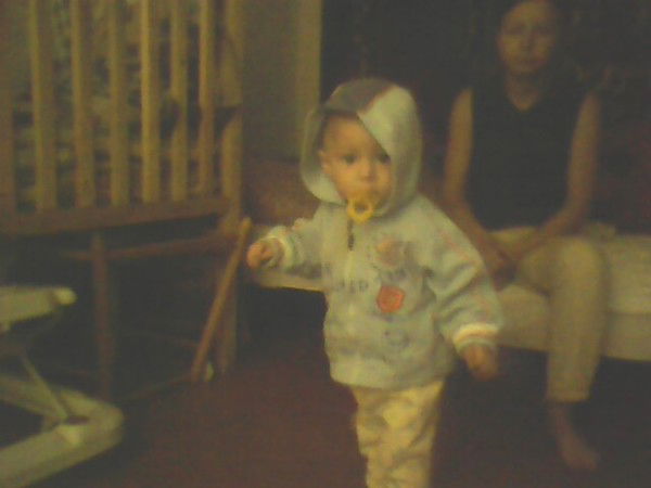 Альбина Довгань