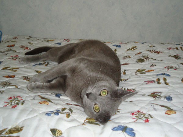 Елена Тимошкина