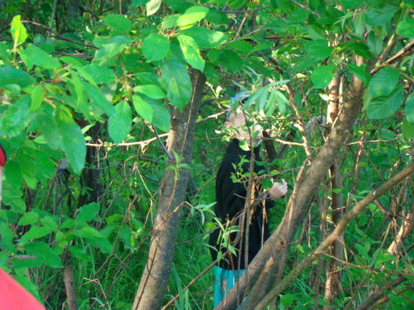 Андрей Петрович Грищенко