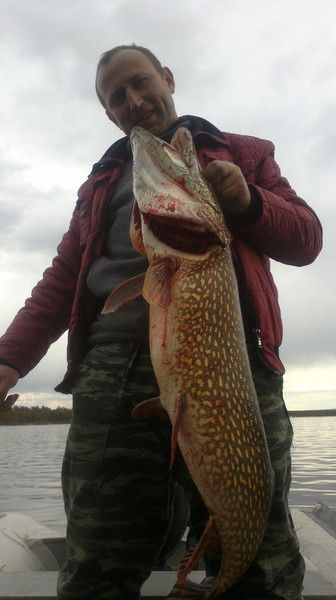 Сергей Герасимов