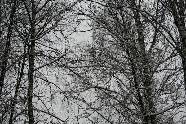 Кузьменко Игорь