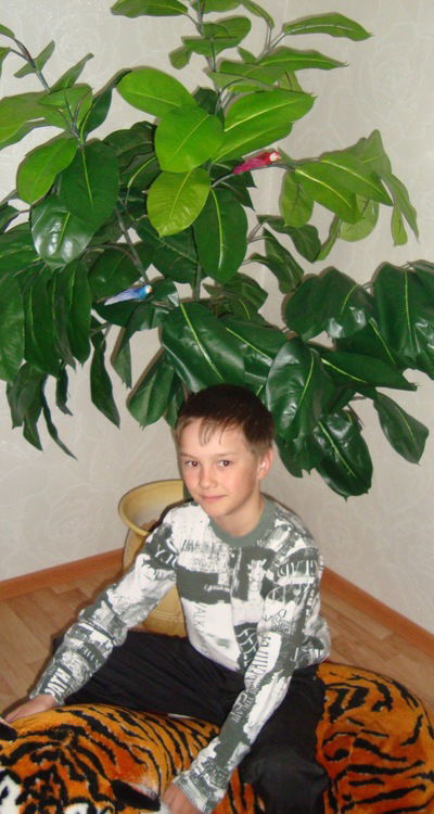 Егор Иноземцев