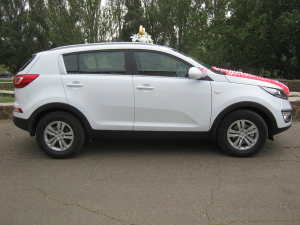 Саня Лисогор