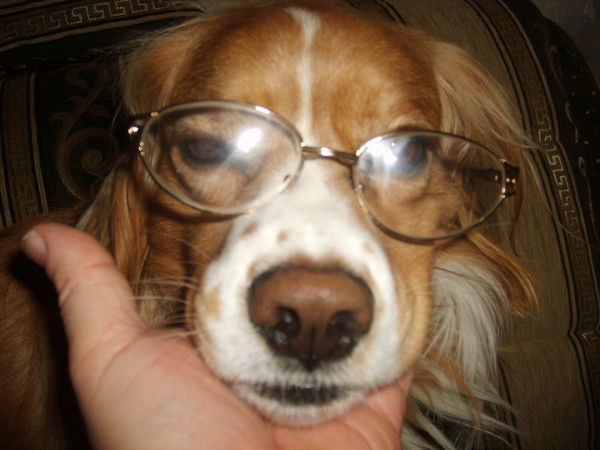 Александр Евсеев