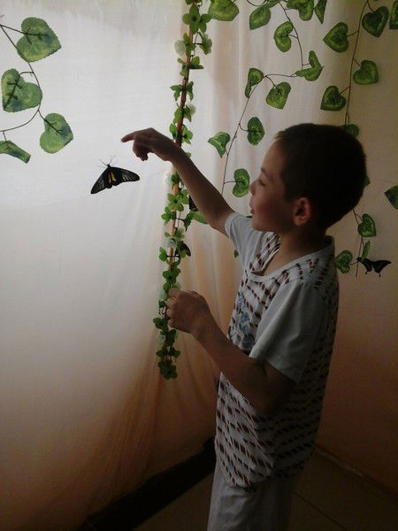 Аман Алшимбаев