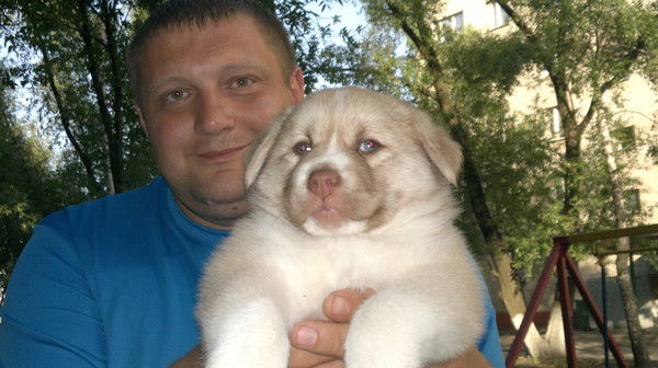 Алексей Пузырев