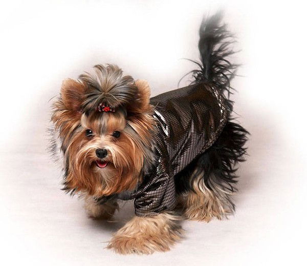 Светланочка Rtr