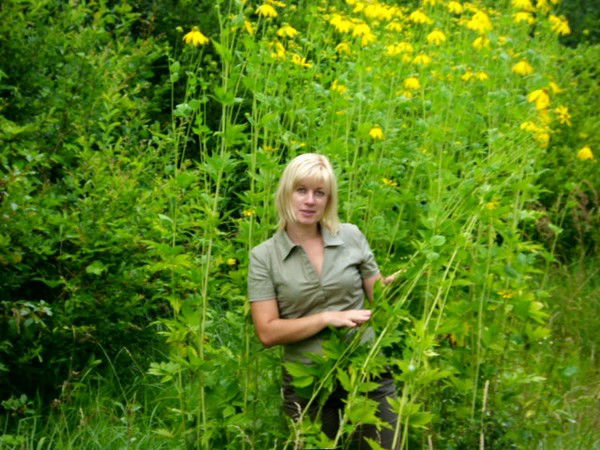 Элеонора Матулис