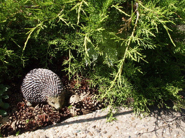 Николай Урванцев