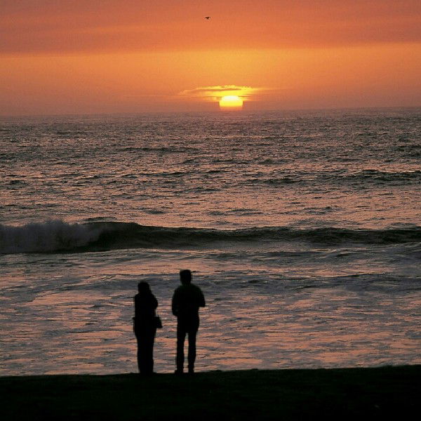 Алмаз Миннегалиев