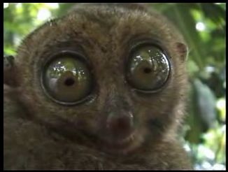 Валерий Осокин