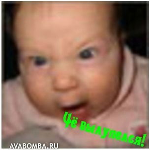 Александр Новиков