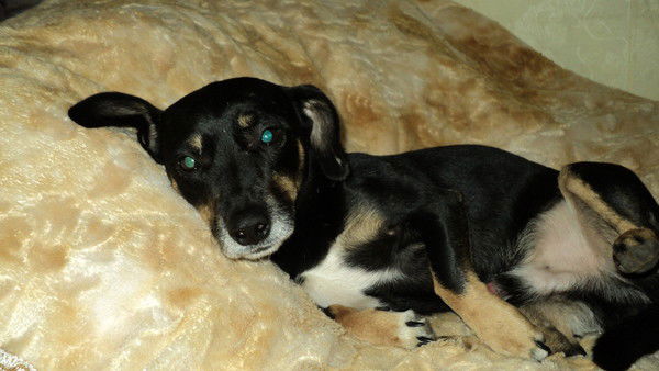 Леночка Карпова