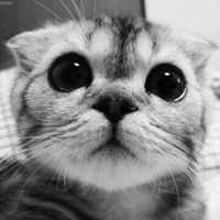 Настя Маслова