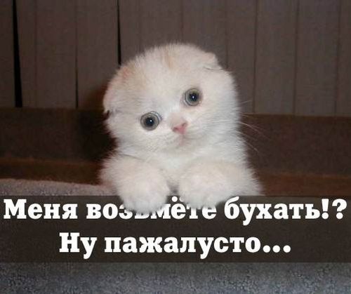 Андрей Баранов