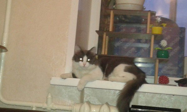 Алексей Лешкин