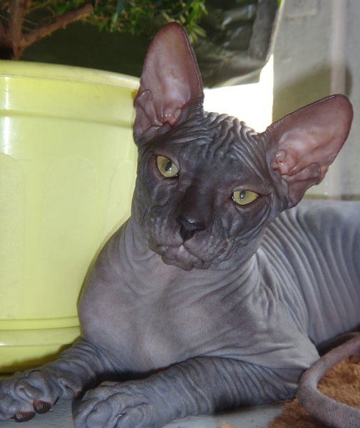 Светлана Цымбал