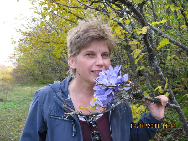 Света Грань