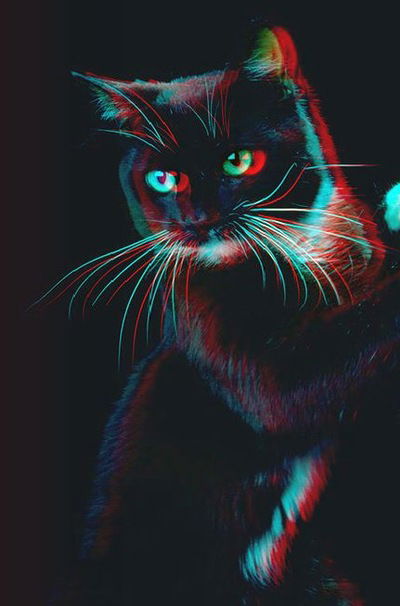 Александр Коркин