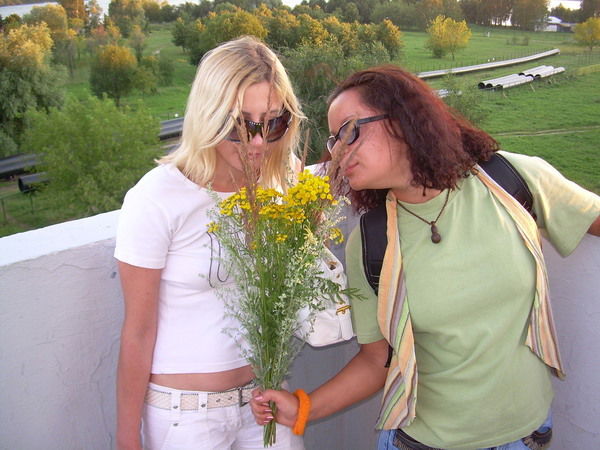 *********** **********